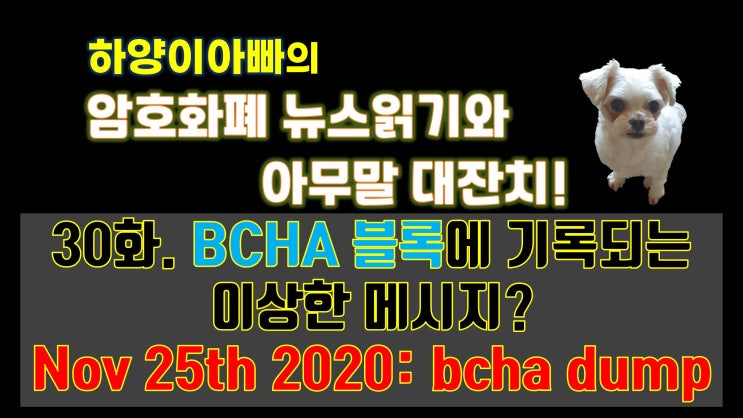  [아무말대잔치] 30화. BCHA 블록에 기록되는 이상한 메시지? Nov 25th 2020: bcha dump