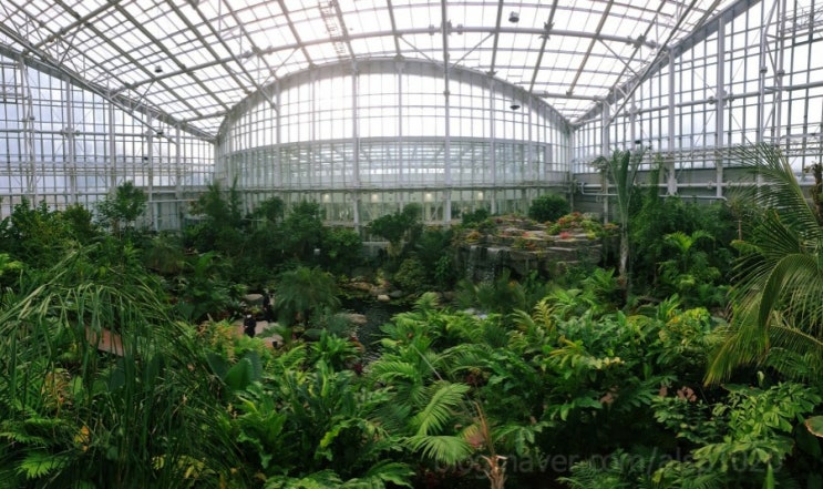 국립세종수목원 방문후기#1 : 실내 온실이 예뻤던 세종수목원, 식물원 소개 - 야외, 지중해온실