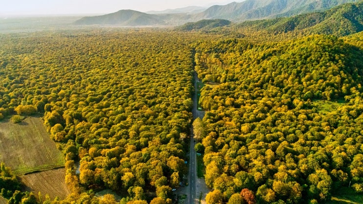  생태학과 경관생태학(Landscape ecology)의 차이점은 무엇일까?