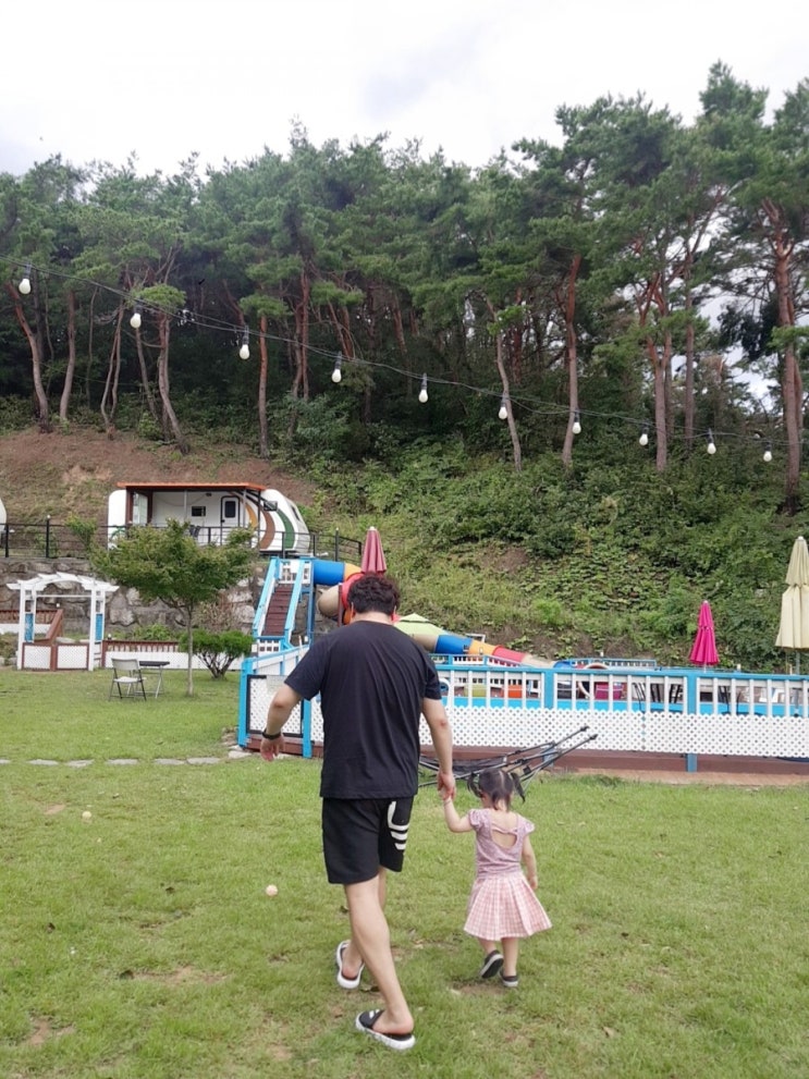  애견 펜션 다녀온 후기!