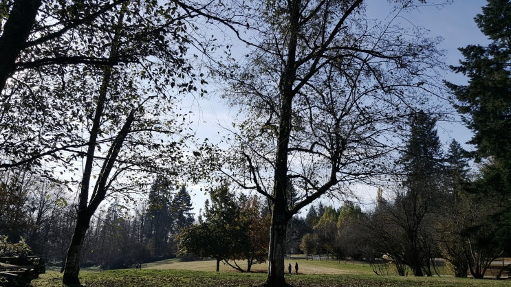  밴쿠버 랭리공원, 더비파크에서 신선한 공기를 마시며 아침을 시작한다~, 랭리근처공원 Derby Park_캐나다 아빠 육아휴직