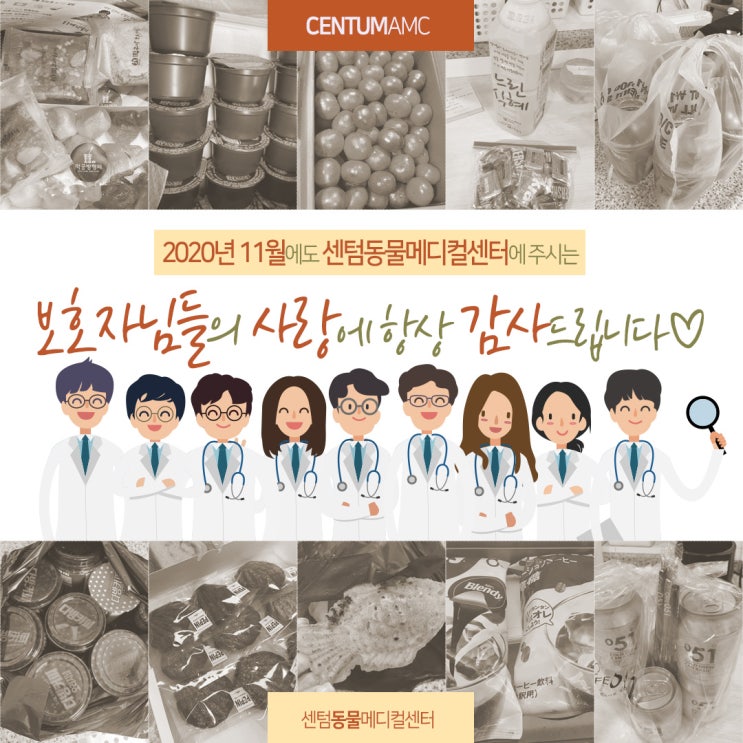  2020년 11월에도 센텀동물메디컬센터에 주시는 보호자님들의 사랑에 항상 감사드립니다 (부산 수영구 남구 연제구 분과 전문 동물병원)