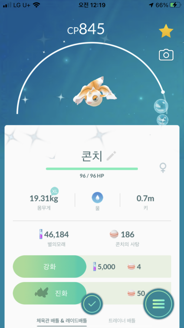  콘치, 왕콘치 이로치