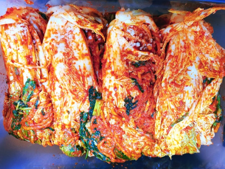  배추김치 좋아하시나요?[김장하기]
