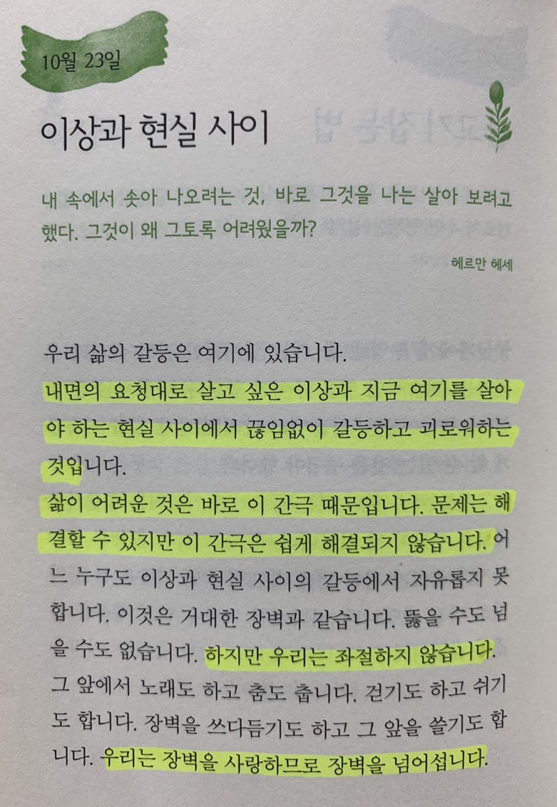 1일1포스팅_DAY75] 이상과 현실 사이의 장벽을 넘어선다는 것 : 네이버 블로그, image size:800x1159