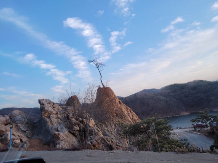  법인부동산 강제집행 안 당하는 법
