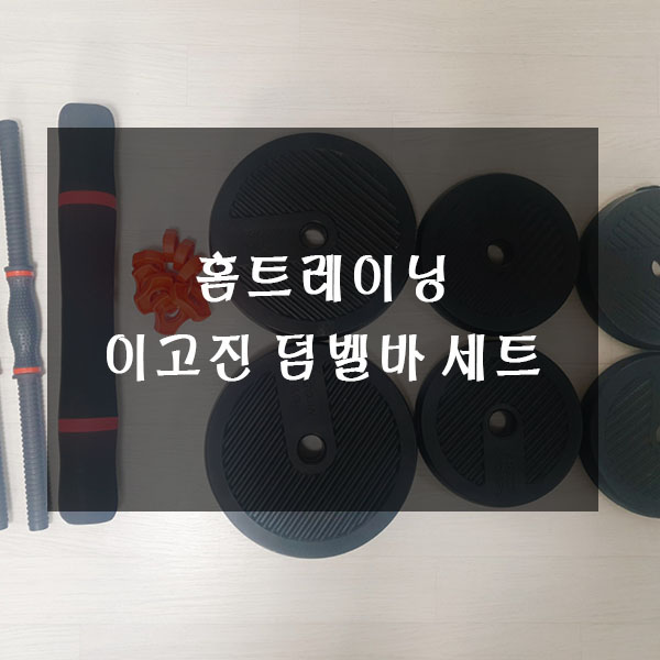  홈트레이닝을 도와줄 이고진 덤벨바 세트