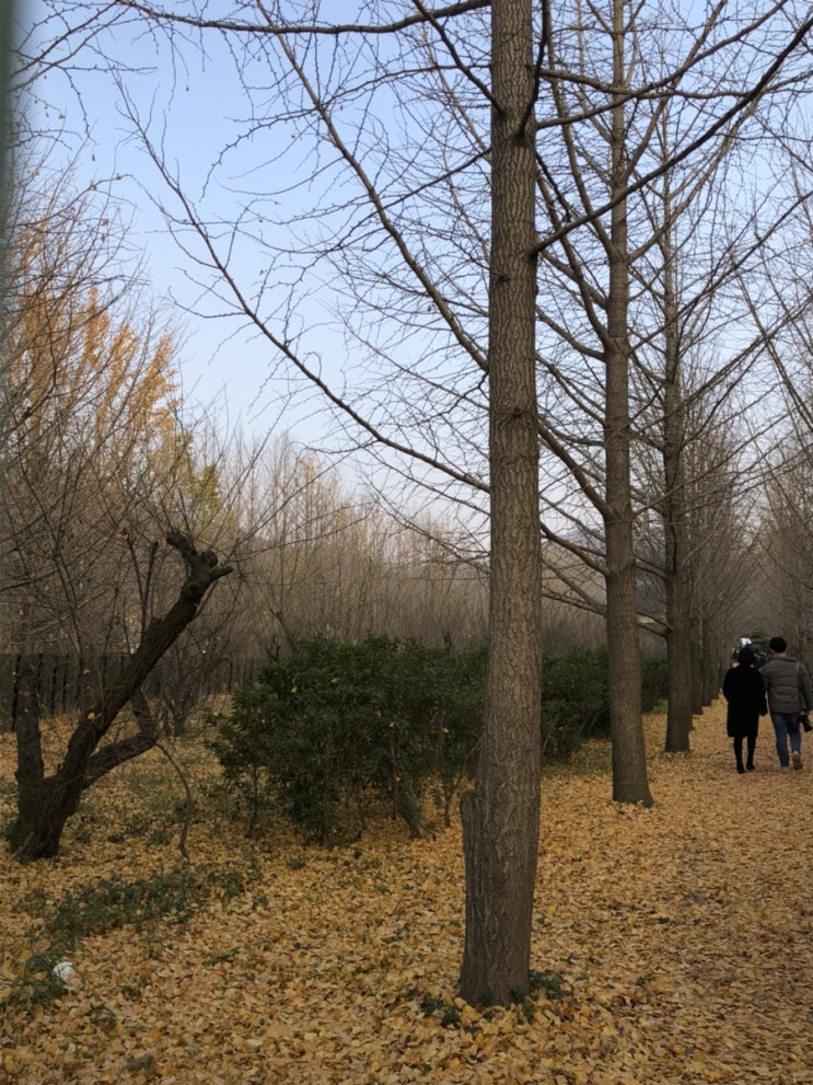  幸福