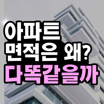  아파트 면적은 왜 죄다 똑같을까?