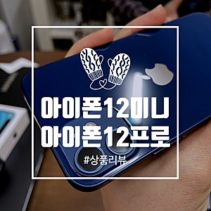 [리뷰]평범한 유저의 아이폰12미니vs아이폰12프로색상,사이즈,사진 한눈에 비교하기