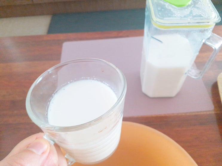  그릭요거트를 만들어보려는 나의 도전은 허무하게 망했다!