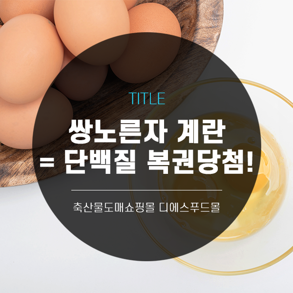  [디푸의 고기정보]쌍 노른자 계란 = 단백질 복권 당첨!