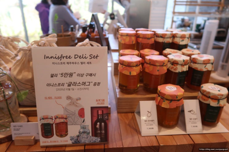  제주도 가볼만한 곳 서쪽 여행 코스 | 녹차밭, 아르떼뮤지엄, 항몽유적지, 메밀밭 위치 입장료 및 주차 정보