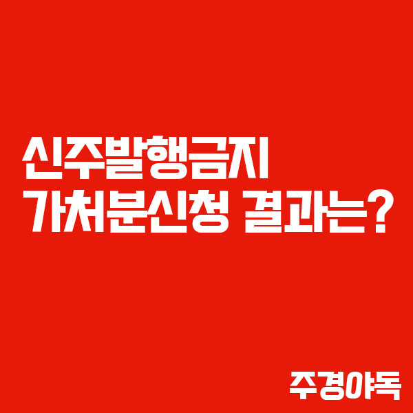 대한항공 ·아시아나항공 가처분 신청, 오늘 결과 나온다!