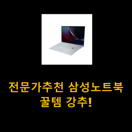 전문가추천 삼성노트북 꿀템 강추!