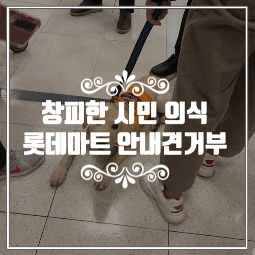  우리 나라가 아직 후진국인 이유, 롯데마트 직원이 예비 안내견 쫓아내다.