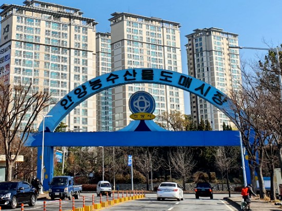  [리뷰] 과천/안양시장_ 없는 거 빼고 다 있는 <안양 농.수산물 도매 시장> 장 보기.