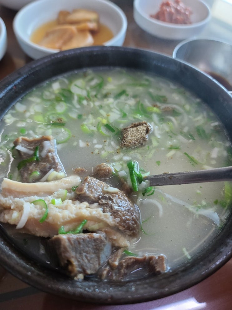  포항곰탕 포항식당 흥해식당 곰탕/현풍박소선할매집곰탕
