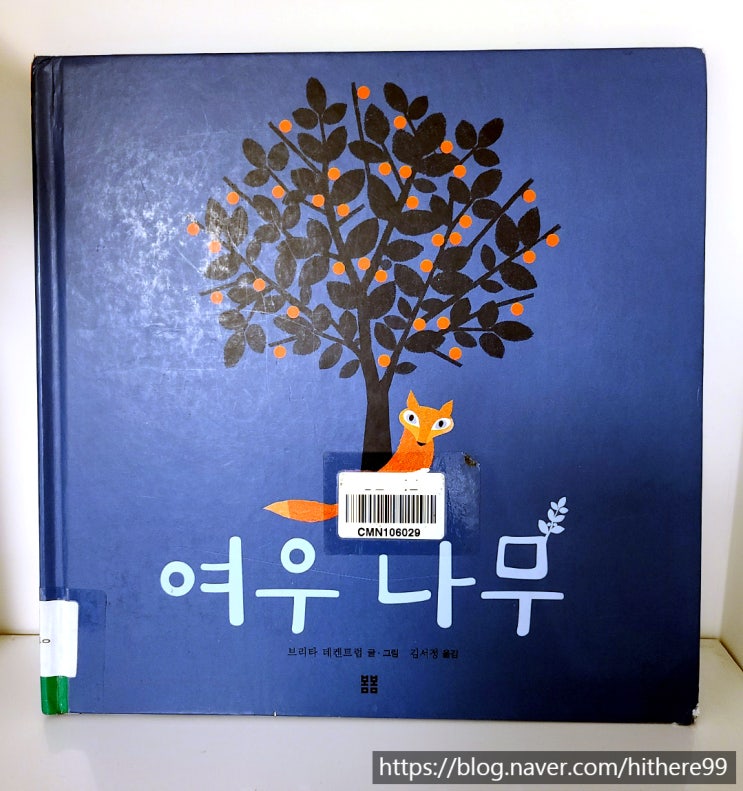  마음속에 영원히 기억하는 법_여우 나무