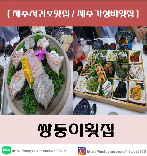  [제주서귀포맛집/제주가성비횟집] 쌍둥이횟집