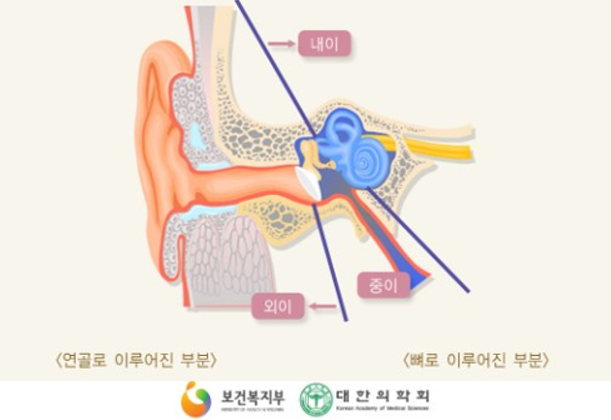  신생아 외이도염? 지루성 피부염? 아기가 귀를 비비면 의심해보자!