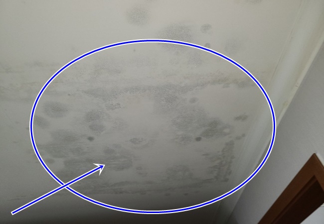  광주누수 아파트 화장실 천장에서 물이 번지면서 누수가 발생하신다구요 ? 욕조를 한번 확인해보세요 !