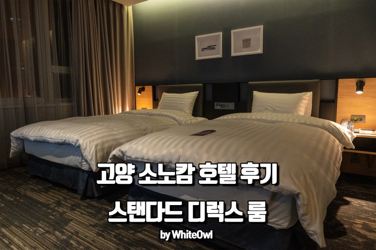  고양 일산 호텔 소노캄 깔끔했던 숙박 후기
