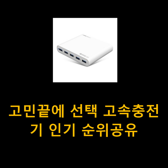 고민끝에 선택 고속충전기 인기 순위공유 고민끝에 선택 고속충전기 인기 순위공유