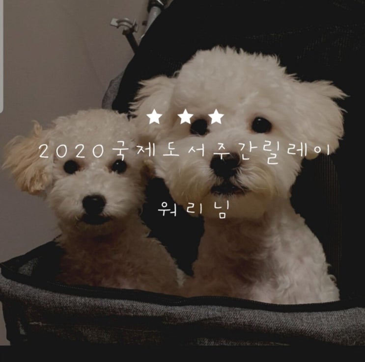  2020 국제 도서 주간 릴레이 (From. 워리님)