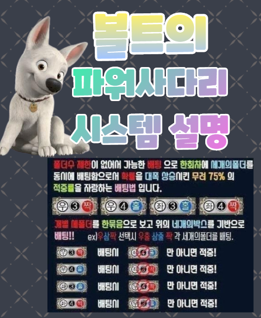  파워사다리 시스템 노하우 대방출