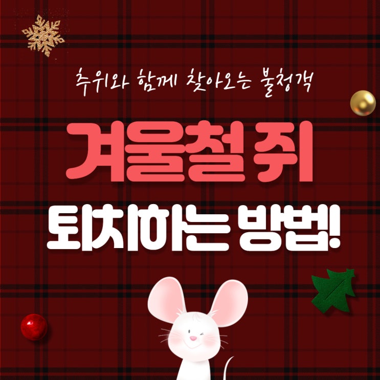  추위와 함께 찾아오는 불청객, 겨울철 쥐 퇴치하는 방법!
