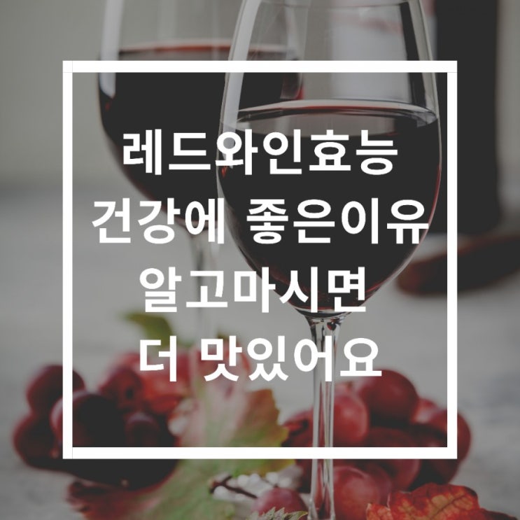  연말모임 레드와인추천 효능ㆍ건강에 좋은이유 알고마시면 더 행복해요.