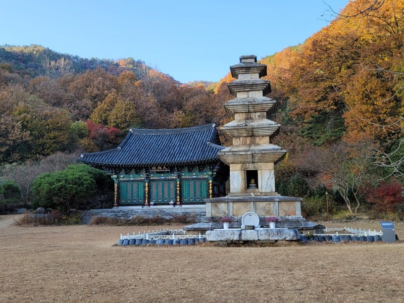 구미 삼사순례, 겨울이 오기 전 마지막으로 깊어가는 수다사와 죽장 ...