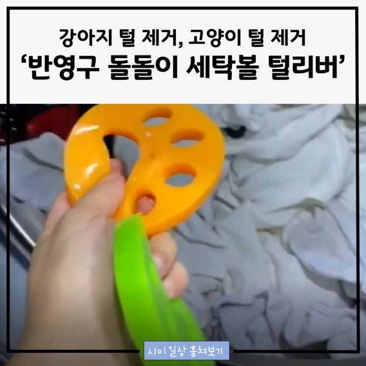  강아지 털 제거, 고양이 털 제거_ 반영구 돌돌이 세탁볼 '털리버'