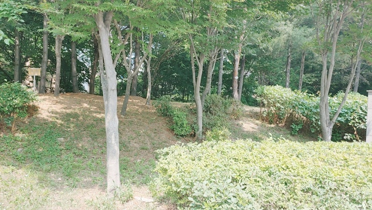  쾌한 부동산 썰 양도소득세 신고 이야기 유쾌한 분양킴