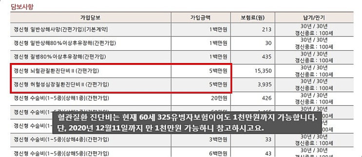  최고의 메리츠 유병자보험(325간편심사보험)