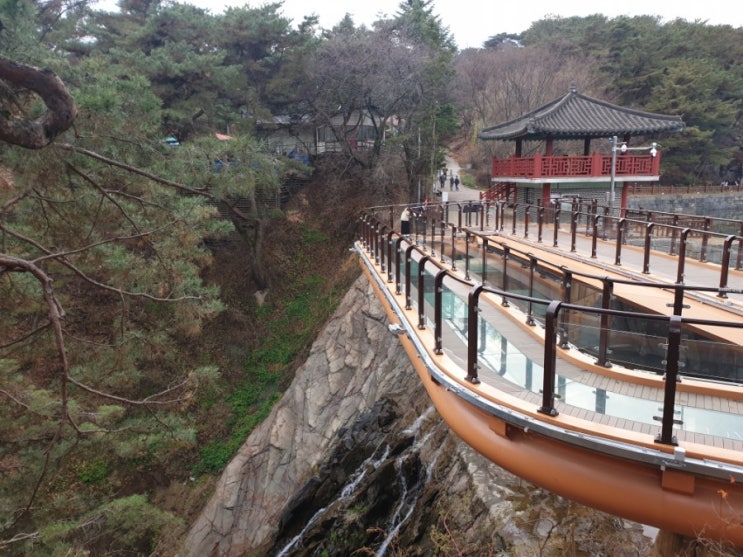  [제천 가볼만한곳] 산책하기 좋은 데이트코스 의림지