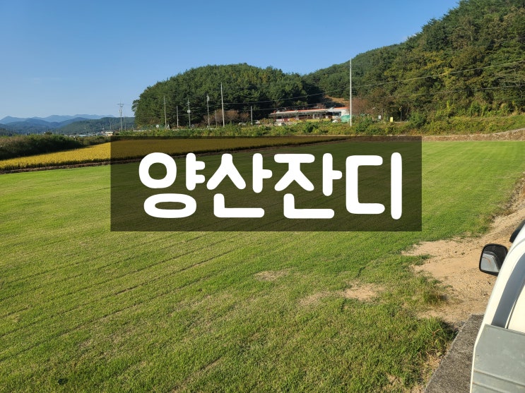  대한민국 제2의 도시 부산 양산 잔디 배달했어요