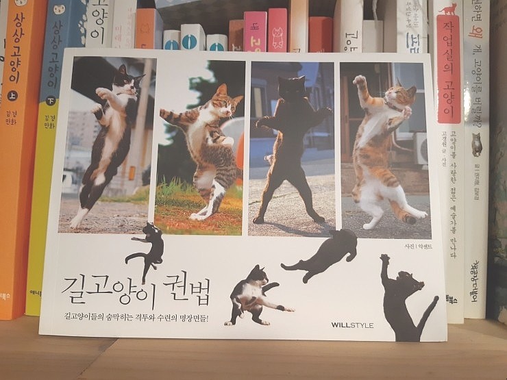 길고양이 권법 /악센트 길고양이 권법 /악센트