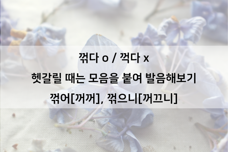 꺽다 꺾다 깍다 깎다. 헷갈리는 쌍기역 받침 정리 : 네이버 블로그