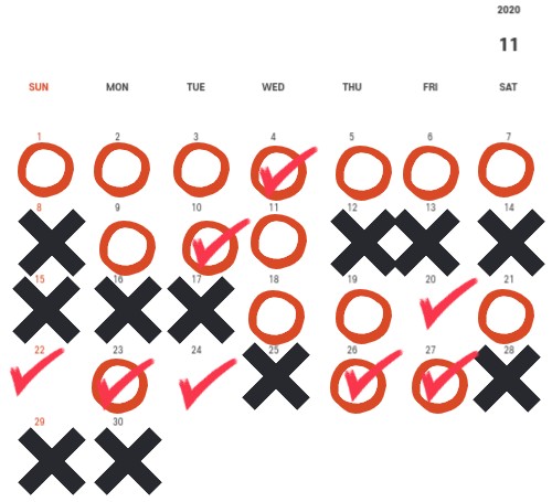 11월 다이어트 정산, 마이다노 2개월 후기