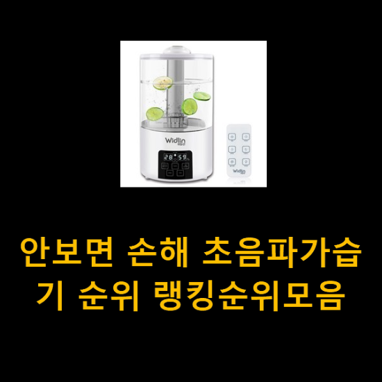 안보면 손해 초음파가습기 순위 랭킹순위모음 안보면 손해 초음파가습기 순위 랭킹순위모음