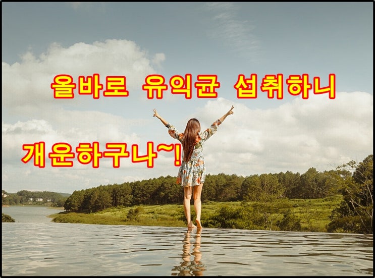  프리바이오틱스와 프로바이오틱스 효과를 제대로 보는 섭취법!