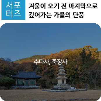 구미 삼사순례, 겨울이 오기 전 마지막으로 깊어가는 수다사와 죽장 ...