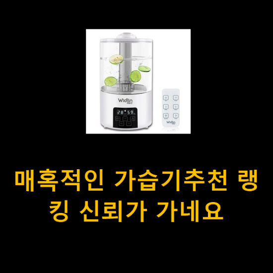 매혹적인 가습기추천 랭킹 신뢰가 가네요 매혹적인 가습기추천 랭킹 신뢰가 가네요