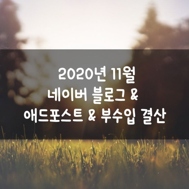 2020년 11월 네이버 블로그 & 애드포스트 & 부수입 결산