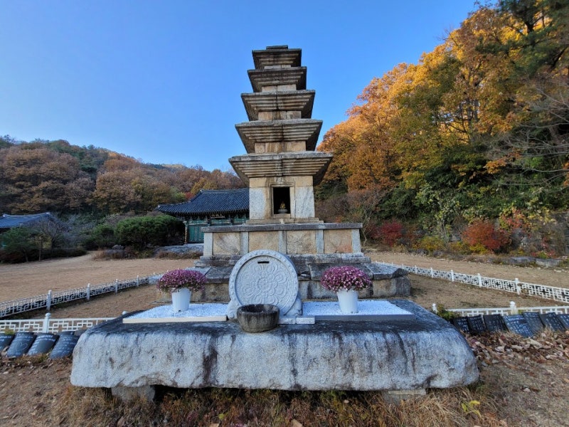 구미 삼사순례, 겨울이 오기 전 마지막으로 깊어가는 수다사와 죽장 ...