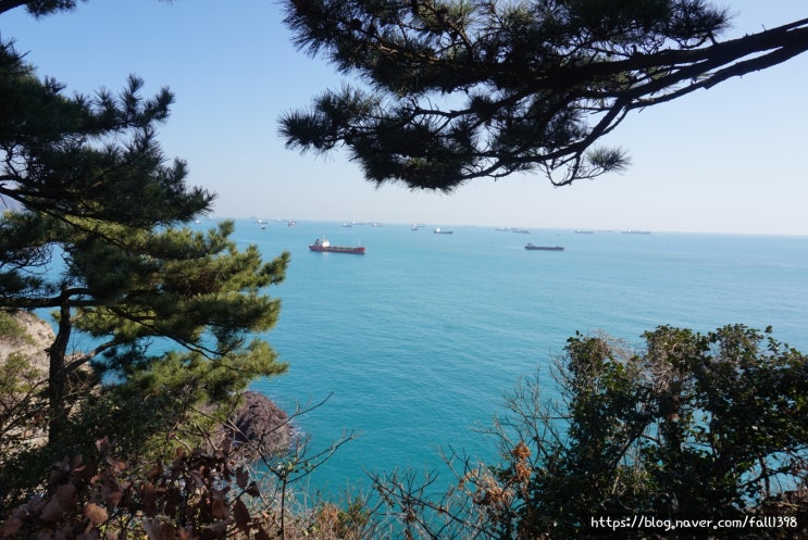 부산 송도 암남공원 - 바다를 보며 가볍게 등산할 수 있는 곳