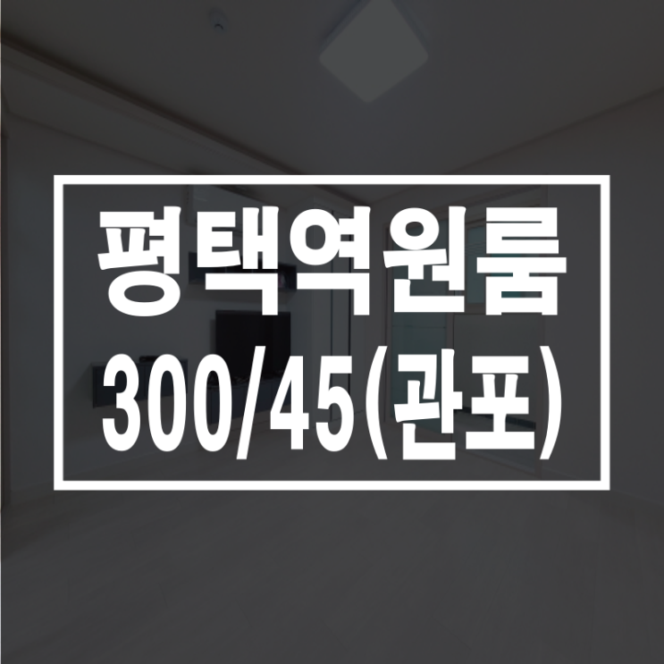  평택역 역세권 원룸 걸어서 7분 거리