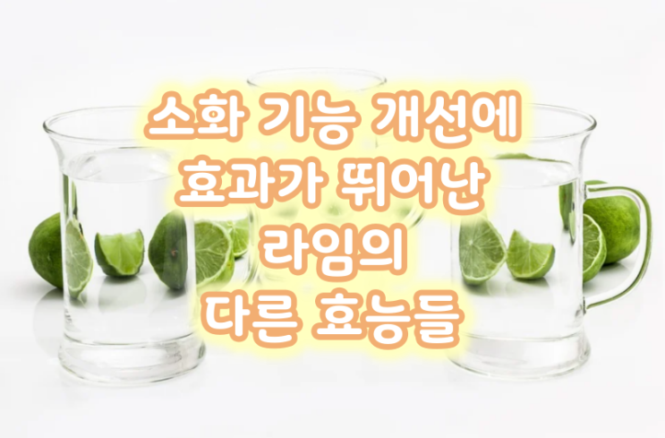  소화 기능 개선에 효과가 뛰어난 라임의 다른 효능들